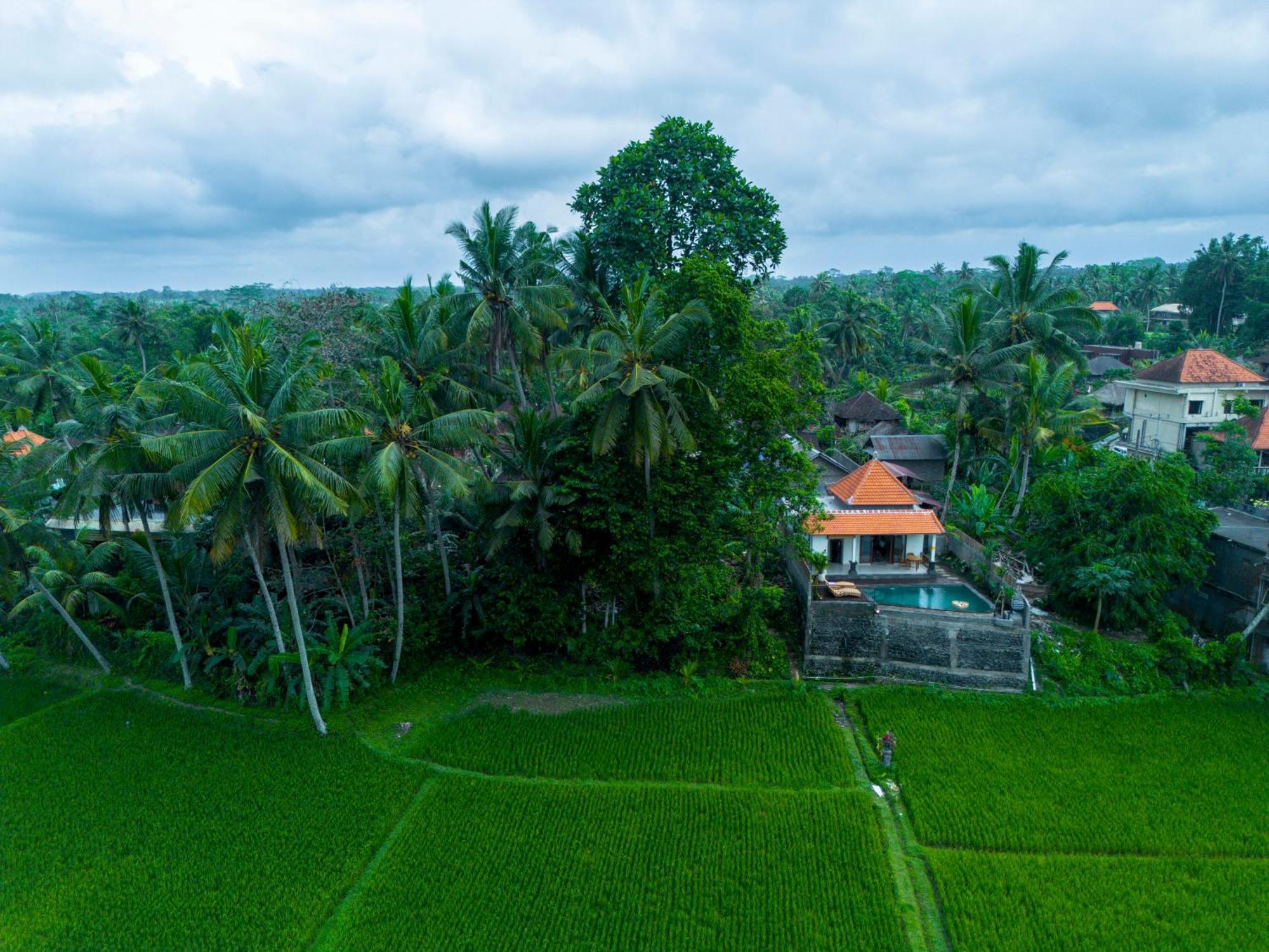Jatining Ubud Villa & Spa Εξωτερικό φωτογραφία